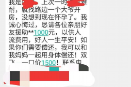 阳谷遇到恶意拖欠？专业追讨公司帮您解决烦恼