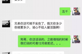 阳谷为什么选择专业追讨公司来处理您的债务纠纷？